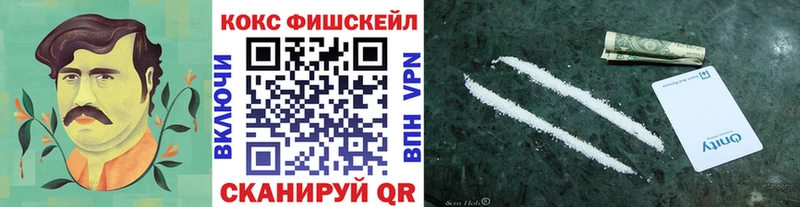 Кокаин Эквадор  продажа наркотиков  Жиздра 